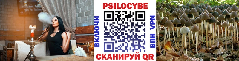 Галлюциногенные грибы Cubensis  Сыктывкар 